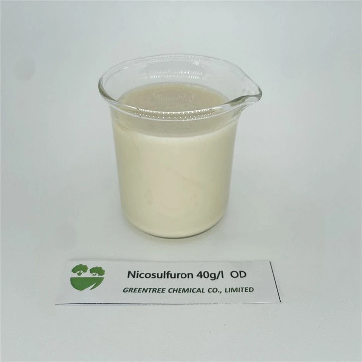 C15H18N6O6S Nikoszulfuron 40 G/L OD elpusztítja a gyomokat Herbicid
